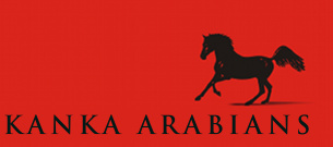 Kanka Arabians